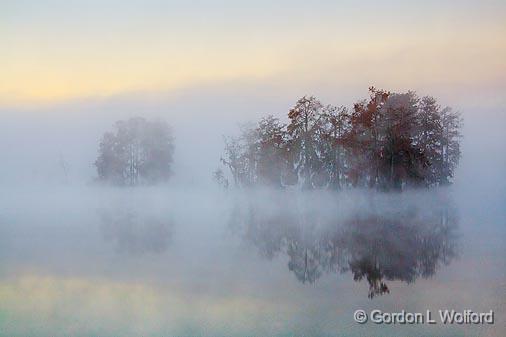 Morning Fog On Lake Martin_26084.jpg - Photographed in the Cypress Island Preserve near Breaux Bridge, Louisiana, USA.